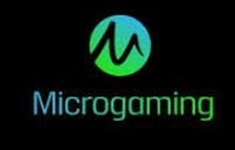 Microgaming