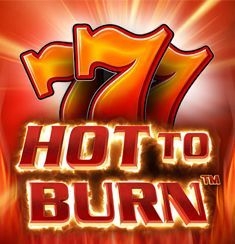 Hot to Burn logo