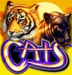 Cats slot