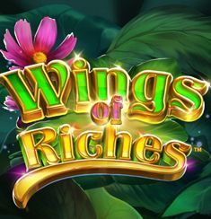Wings Of Riches slot